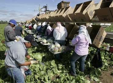 MIGRANTES
