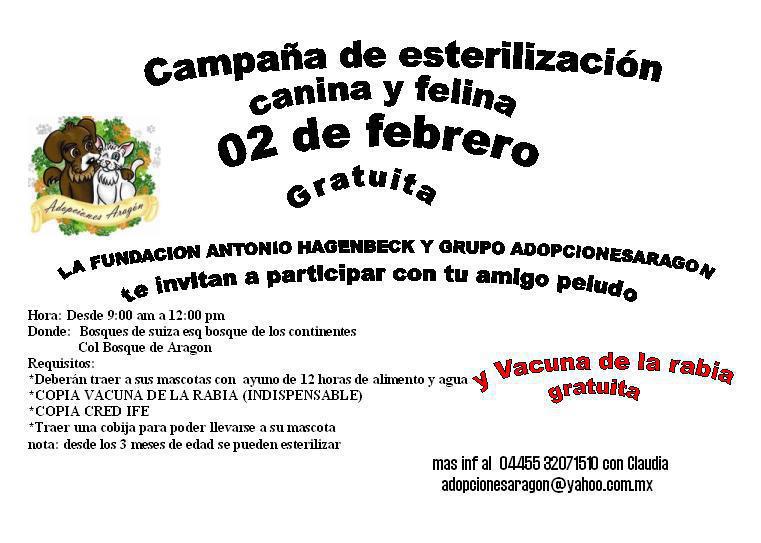 esterilización