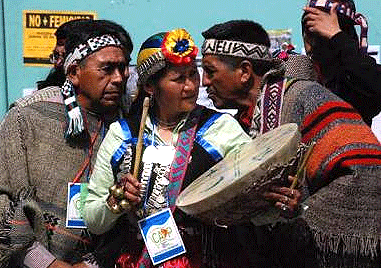 mapuches