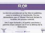 Flor y Canto Informa