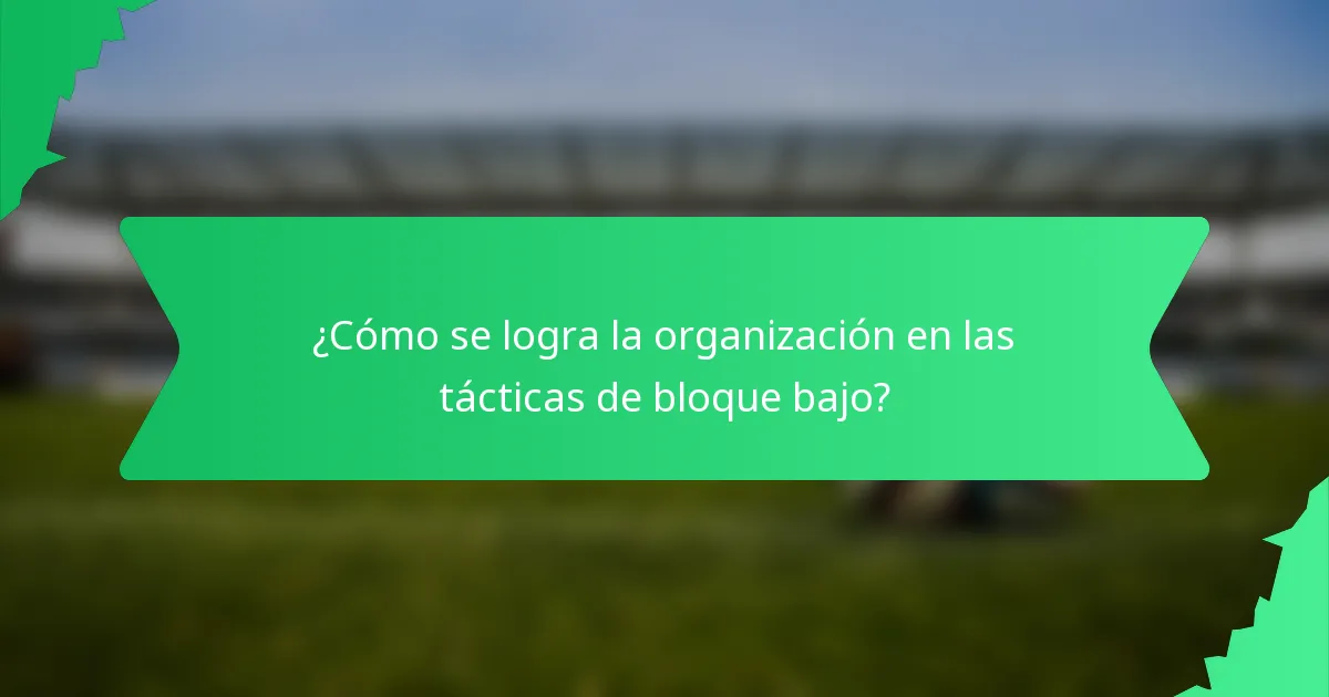 ¿Cómo se logra la organización en las tácticas de bloque bajo?